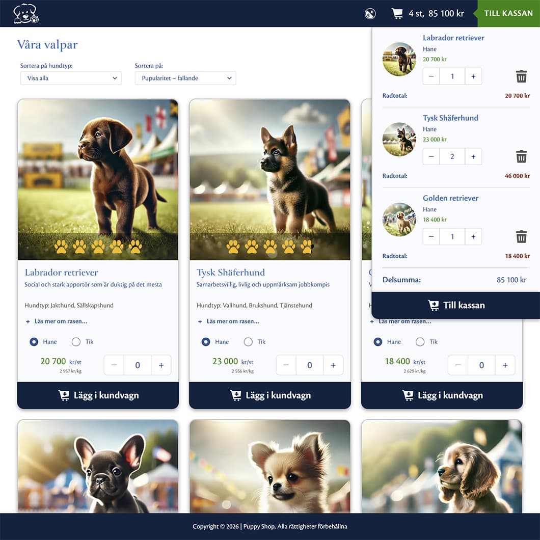creenshot of Todo Aapp start page