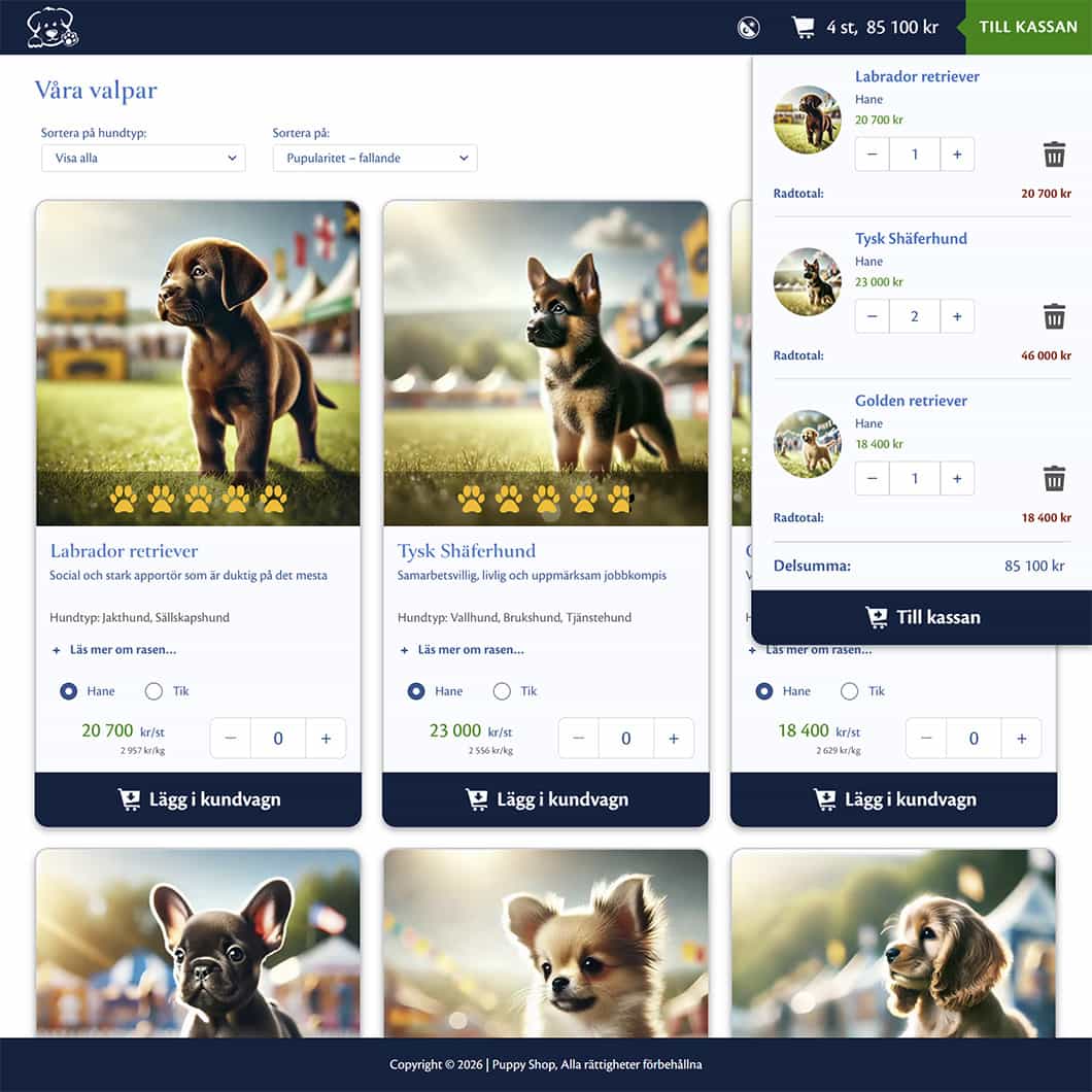 creenshot of Todo Aapp start page